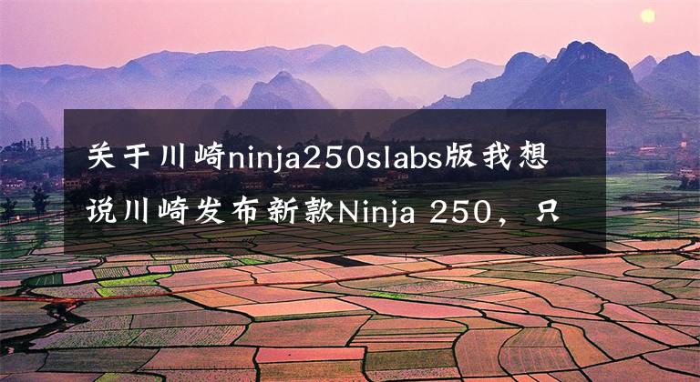 关于川崎ninja250slabs版我想说川崎发布新款Ninja 250,只不过这次是单缸的SL