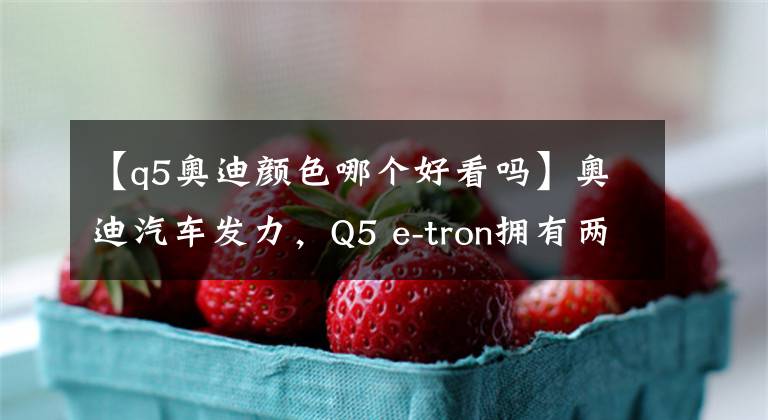【q5奥迪颜色哪个好看吗】奥迪汽车发力,Q5 e-tron拥有两种造型+7色车身颜值高