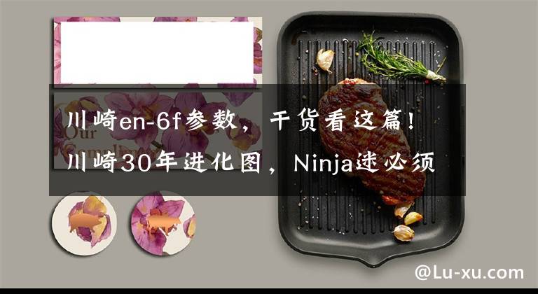 川崎en-6f参数,干货看这篇!川崎30年进化图,Ninja迷必须收下!
