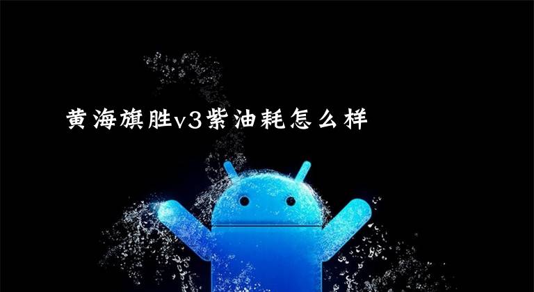 黄海旗胜v3紫油耗怎么样