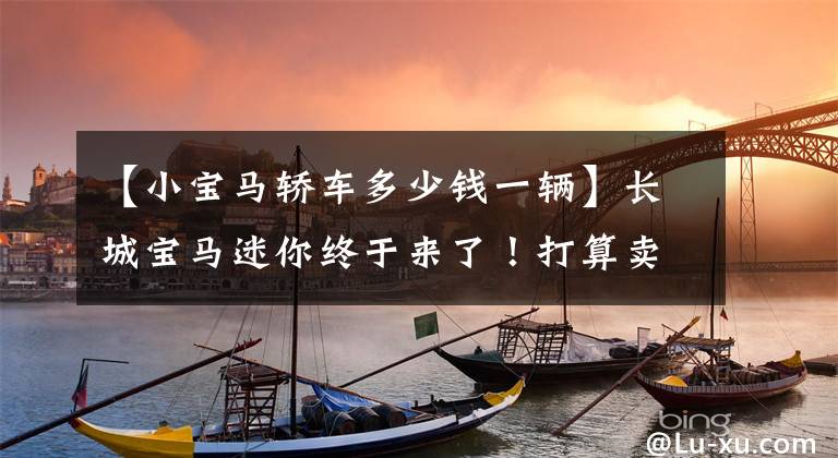 【小宝马轿车多少钱一辆】长城宝马迷你终于来了!打算卖19万韩元,你喜欢吗?