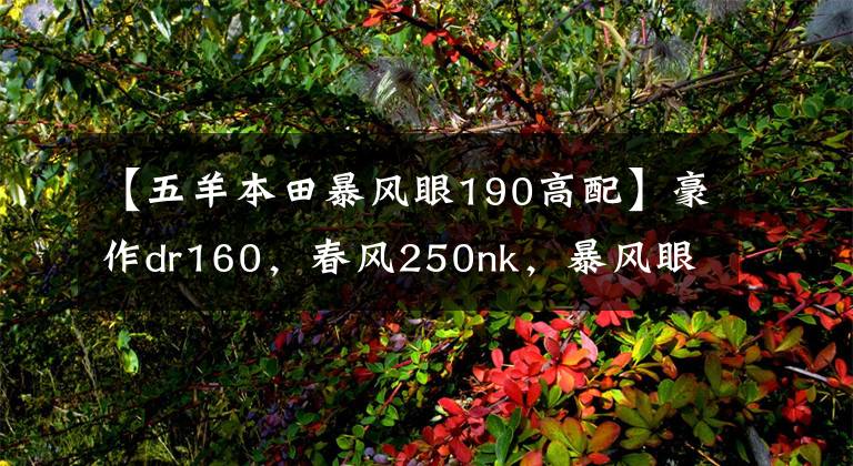 【五羊本田暴风眼190高配】豪作dr160,春风250nk,暴风眼190怎么选?老司机:请选择适合母校的