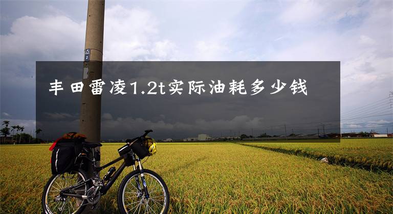 丰田雷凌1.2t实际油耗多少钱