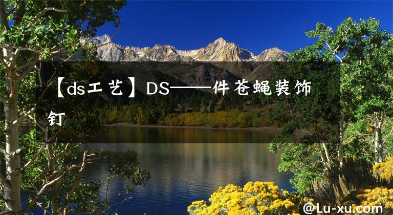 【ds工艺】DS——件苍蝇装饰钉