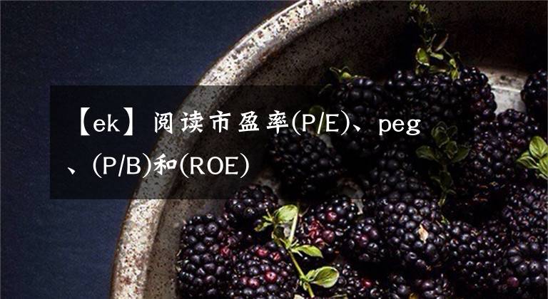 【ek】阅读市盈率(P/E)、peg、(P/B)和(ROE)
