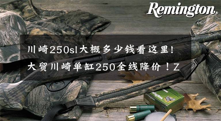 川崎250sl大概多少钱看这里!大贸川崎单缸250全线降价!Z250SL跌破三万!