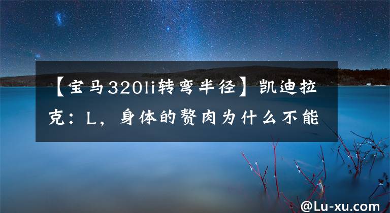 【宝马320li转弯半径】凯迪拉克:L,身体的赘肉为什么不能是肌肉?