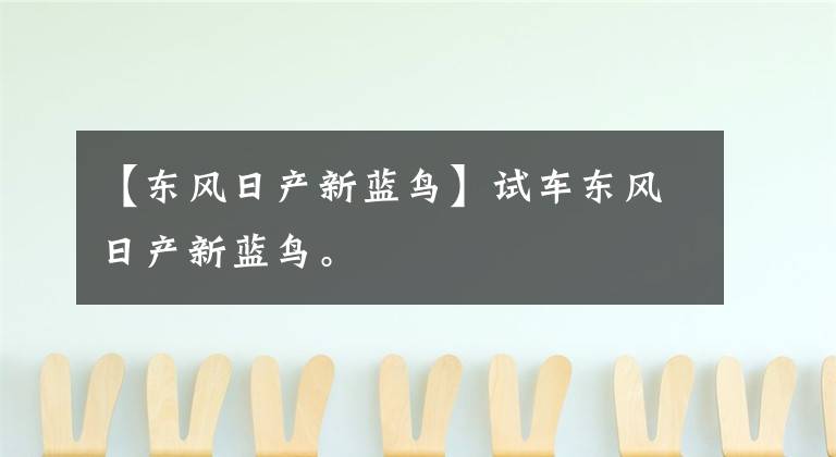 【东风日产新蓝鸟】试车东风日产新蓝鸟。