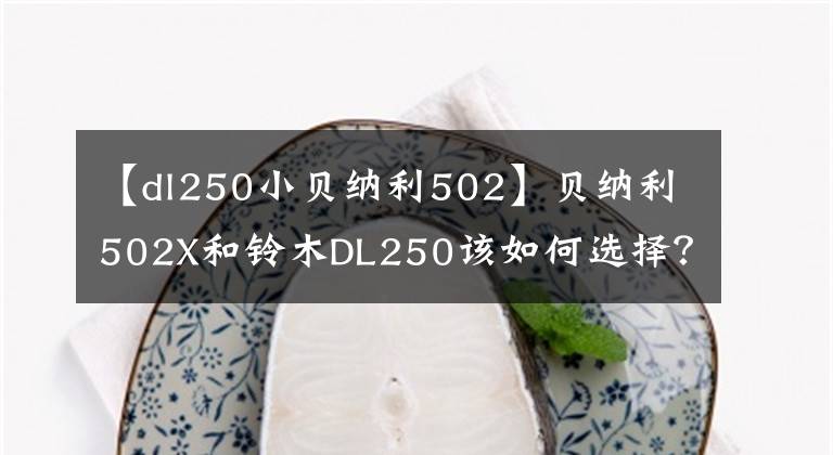 【dl250小贝纳利502】贝纳利502X和铃木DL250该如何选择?老司机:省油,适合临晋。