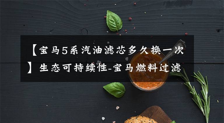 【宝马5系汽油滤芯多久换一次】生态可持续性-宝马燃料过滤器多久更换一次比较好？