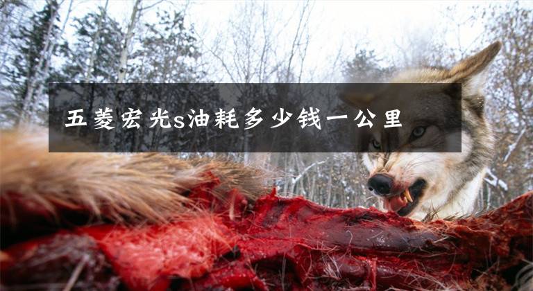 五菱宏光s油耗多少钱一公里