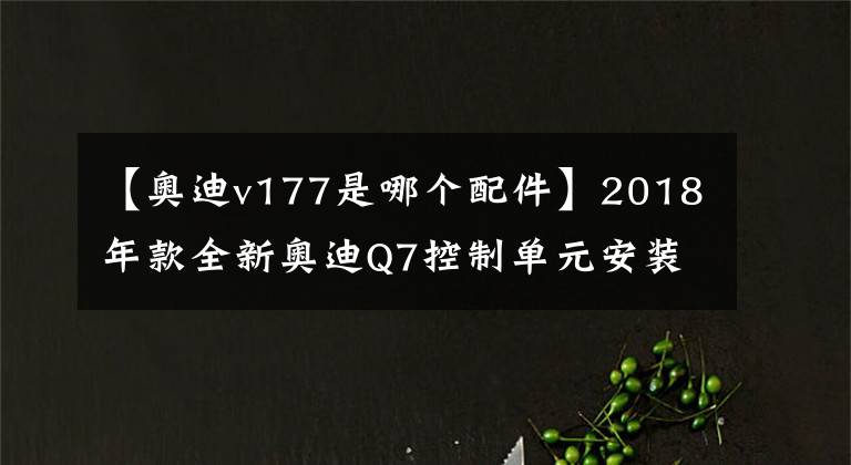 【奥迪v177是哪个配件】2018年款全新奥迪Q7控制单元安装位置和端子功能说明（前部）