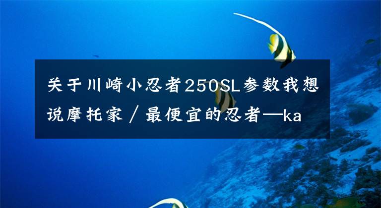 关于川崎小忍者250SL参数我想说摩托家／最便宜的忍者—kawasaki ninja250sl