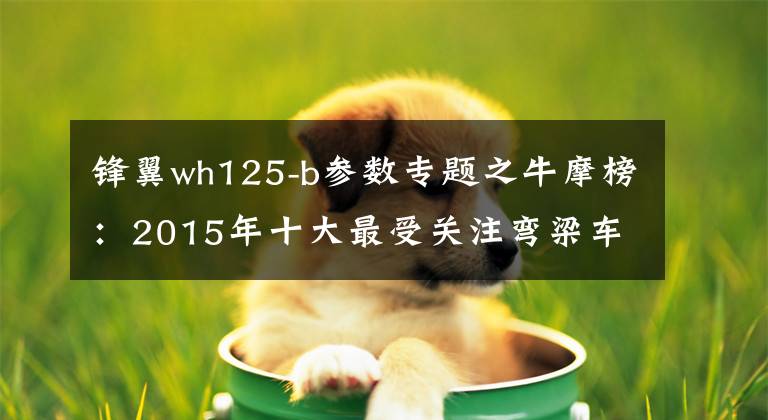 锋翼wh125-b参数专题之牛摩榜：2015年十大最受关注弯梁车