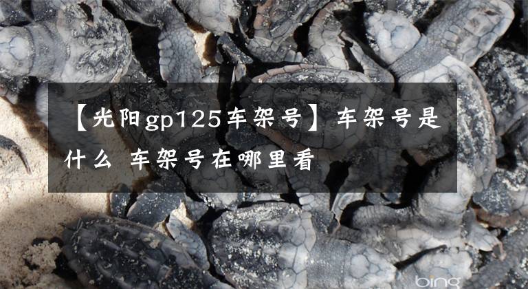 【光阳gp125车架号】车架号是什么 车架号在哪里看