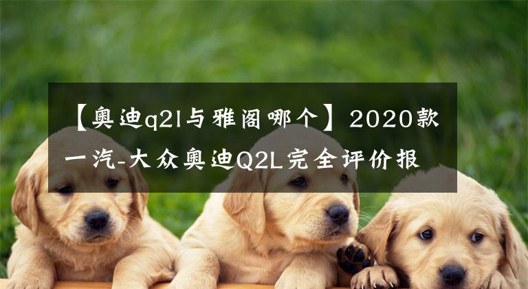 【奥迪q2l与雅阁哪个】2020款一汽-大众奥迪Q2L完全评价报告