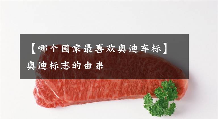 【哪个国家最喜欢奥迪车标】奥迪标志的由来