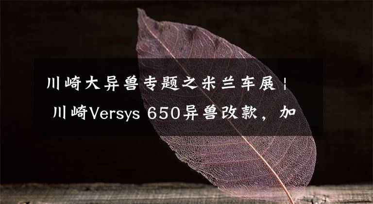 川崎大异兽专题之米兰车展 | 川崎Versys 650异兽改款,加入牵引力控制、全彩液晶仪表