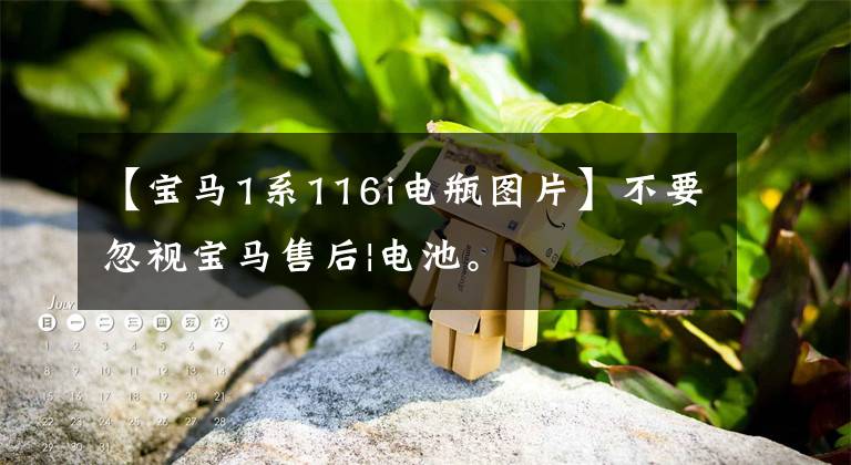 【宝马1系116i电瓶图片】不要忽视宝马售后|电池。
