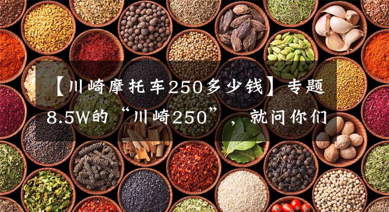 【川崎摩托车250多少钱】专题8.5W的“川崎250”,就问你们见过吗