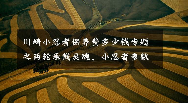 川崎小忍者保养费多少钱专题之两轮承载灵魂，小忍者参数