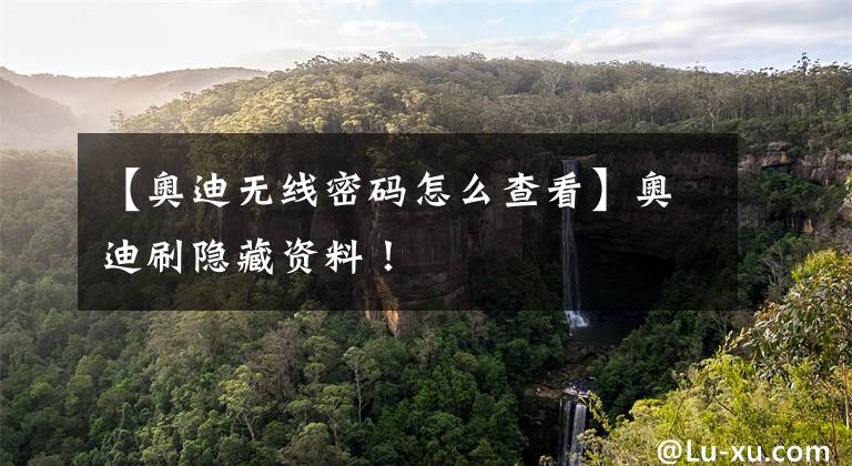 【奥迪无线密码怎么查看】奥迪刷隐藏资料！