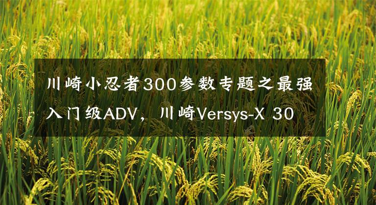 川崎小忍者300参数专题之最强入门级ADV，川崎Versys-X 300小异兽试驾评测