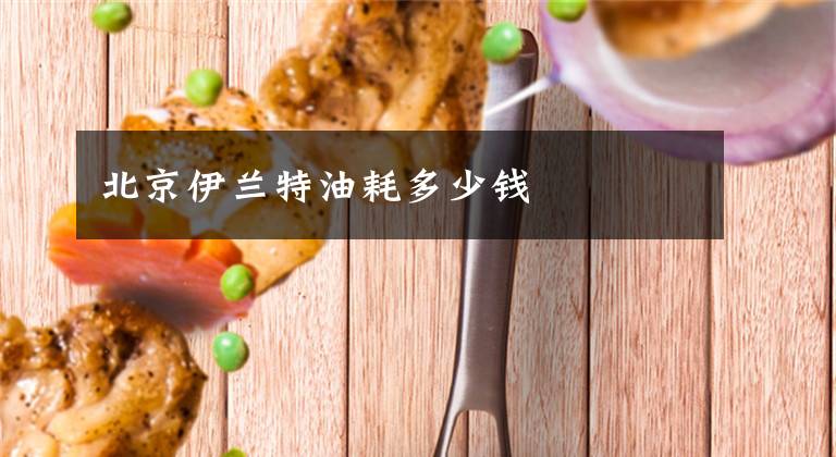 北京伊兰特油耗多少钱