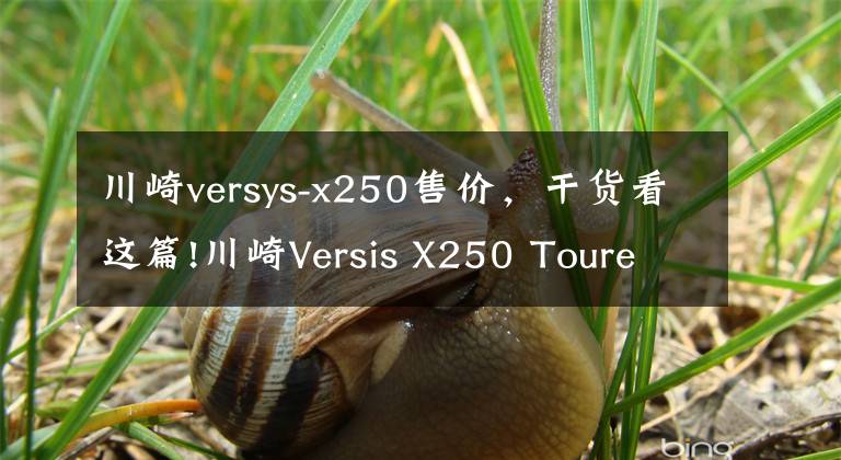 川崎versys-x250售价,干货看这篇!川崎Versis X250 Tourer新款发布 约合4.58万人民币起