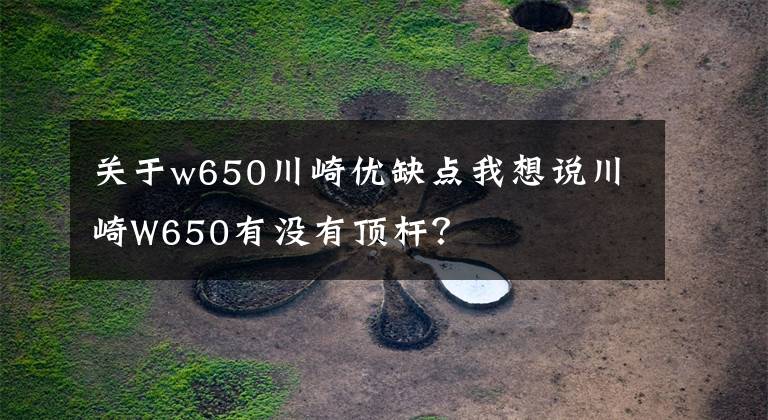 关于w650川崎优缺点我想说川崎W650有没有顶杆?