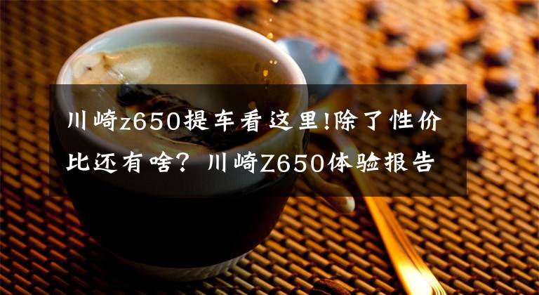 川崎z650提车看这里!除了性价比还有啥？川崎Z650体验报告——静态篇
