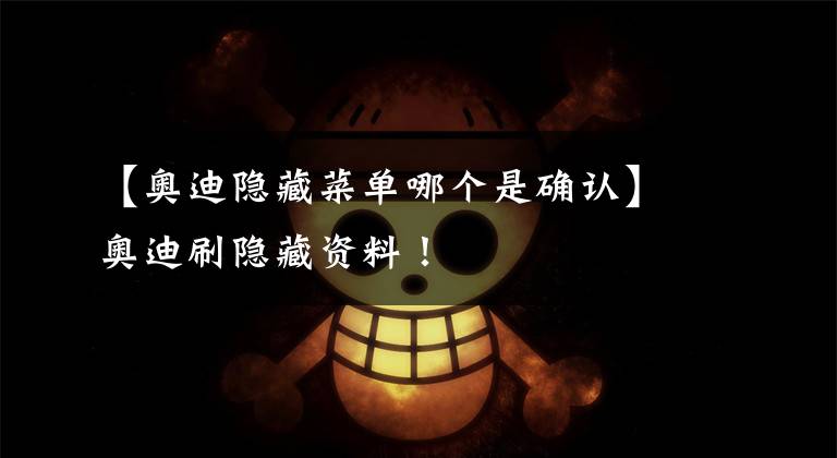 【奥迪隐藏菜单哪个是确认】奥迪刷隐藏资料！