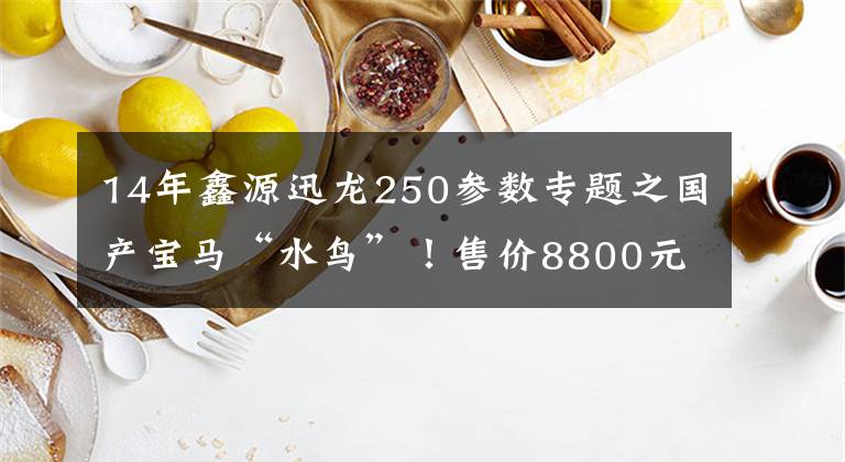 14年鑫源迅龙250参数专题之国产宝马“水鸟”!售价8800元,极速110km/h,续航可达500公里