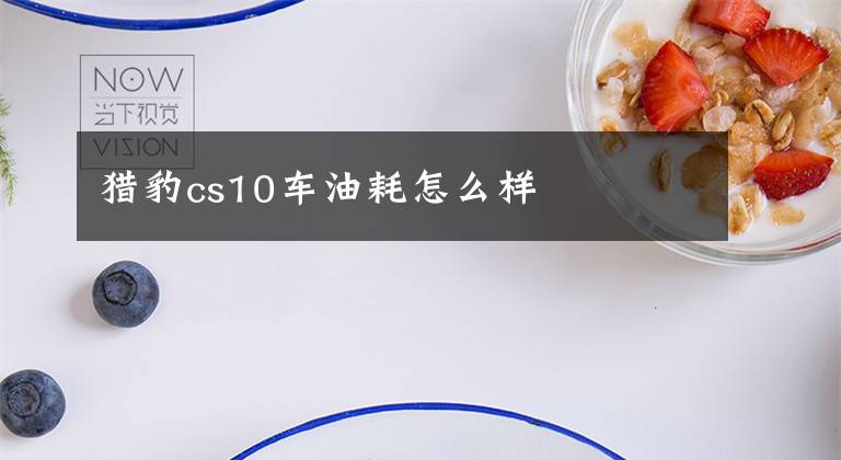 猎豹cs10车油耗怎么样