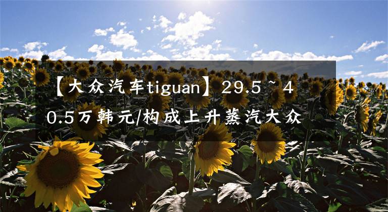 【大众汽车tiguan】29.5 ~ 40.5万韩元/构成上升蒸汽大众2023种上市