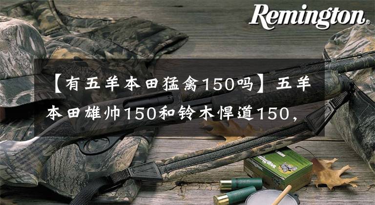 【有五羊本田猛禽150吗】五羊本田雄帅150和铃木悍道150，哪个比较省油耐用更好？