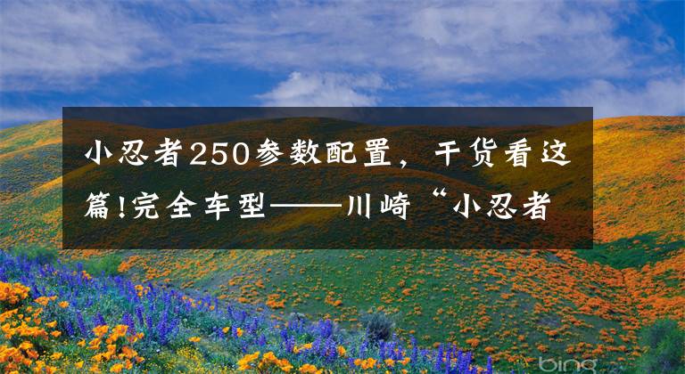 小忍者250参数配置,干货看这篇!完全车型——川崎“小忍者”你都看清了吗?