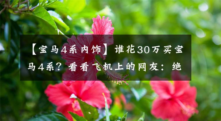 【宝马4系内饰】谁花30万买宝马4系？看看飞机上的网友：绝妙的生活让我大吃一惊。