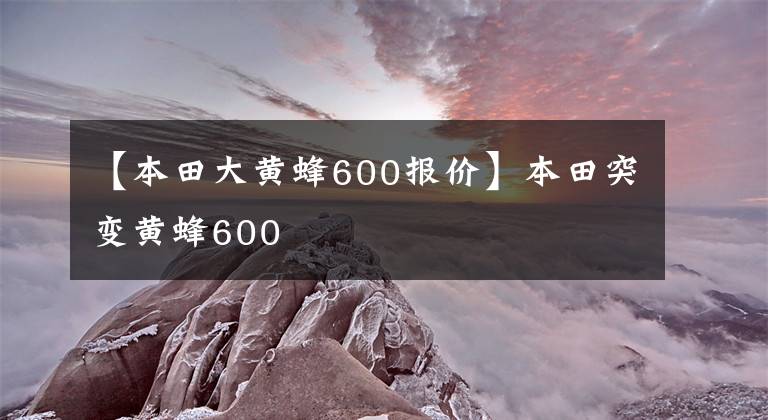 【本田大黄蜂600报价】本田突变黄蜂600