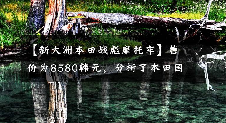 【新大洲本田战彪摩托车】售价为8580韩元,分析了本田国预喷雾街、CBF漩涡动力、燃料消耗2.1升。