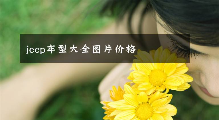 jeep车型大全图片价格