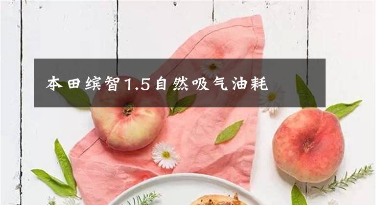 本田缤智1.5自然吸气油耗