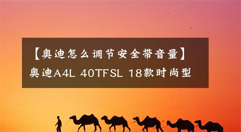 【奥迪怎么调节安全带音量】奥迪A4L 40TFSL 18款时尚型 功能按键说明(有用干货)