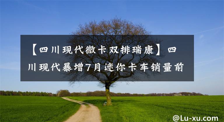 【四川现代微卡双排瑞康】四川现代暴增7月迷你卡车销量前10名