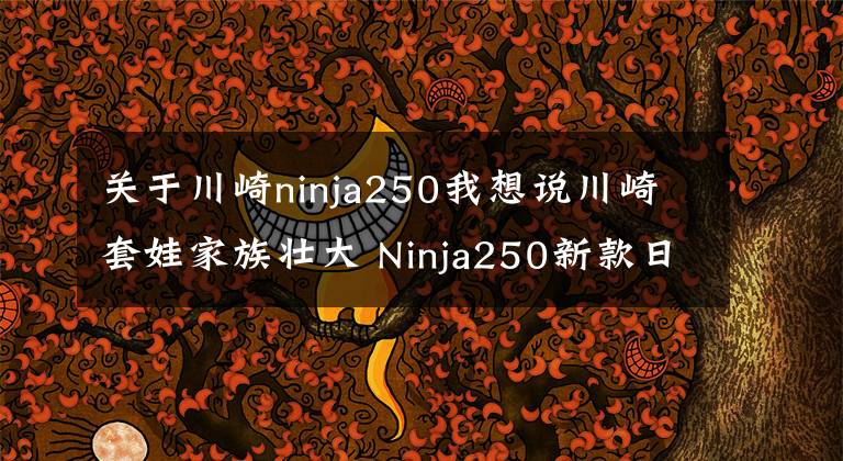 关于川崎ninja250我想说川崎套娃家族壮大 Ninja250新款日本上市
