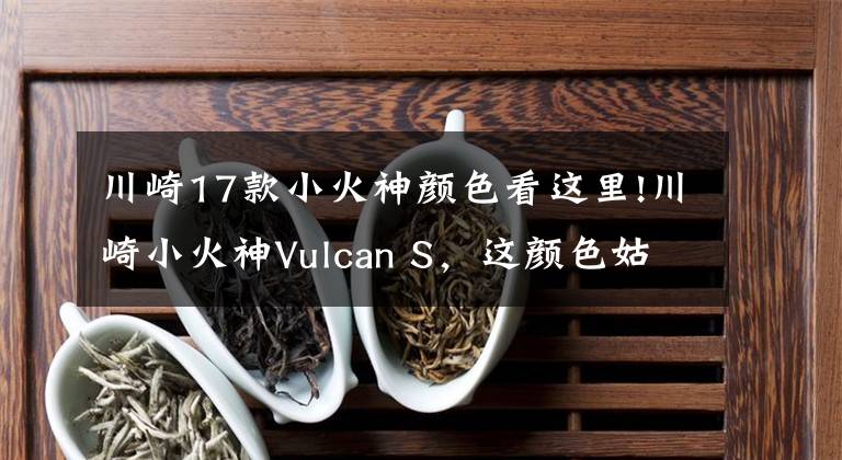 川崎17款小火神颜色看这里!川崎小火神Vulcan S,这颜色姑且叫“幽冥绿”吧