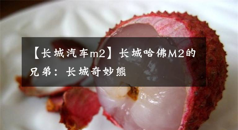 【长城汽车m2】长城哈佛M2的兄弟：长城奇妙熊