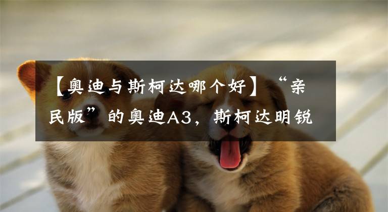 【奥迪与斯柯达哪个好】“亲民版”的奥迪A3，斯柯达明锐提车2个月车主有话说