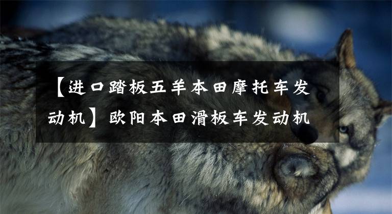 【进口踏板五羊本田摩托车发动机】欧阳本田滑板车发动机,总有你喜欢的对应车型。