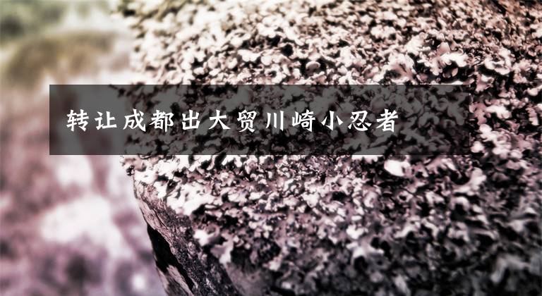 转让成都出大贸川崎小忍者